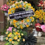 Top 7 hình ảnh hoa cẩm tú cầu viếng đám tang