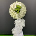 Tổng hợp hình ảnh hoa cúc trắng đám tang được yêu thích năm 2022